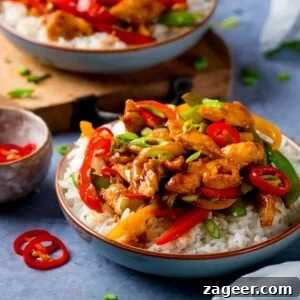 chicken stir fry in a bowl with rice