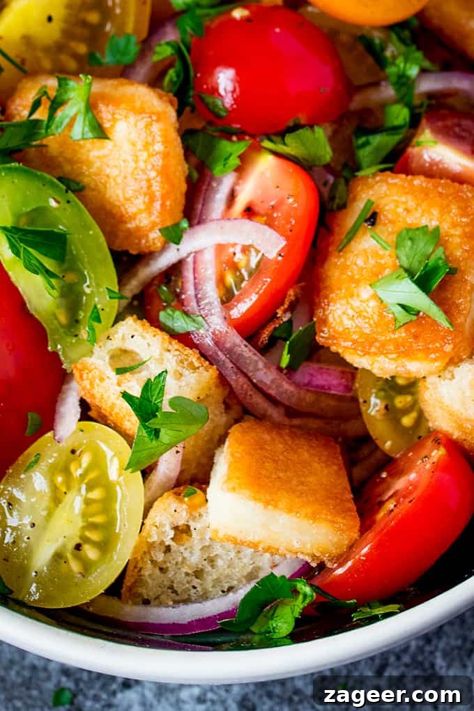Flaming Saganaki Panzanella 3 Panzanella Salad with Saganaki - Italy meets Greece in this juicy Tuscan tomato salad with crispy fried Greek cheese.
