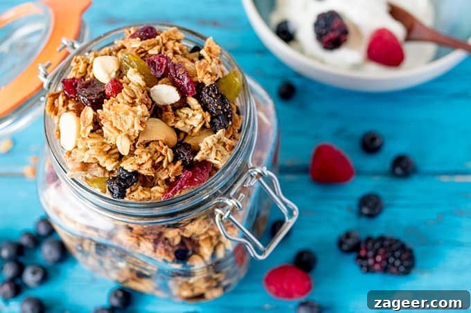 Wholesome Berry Nut Granola 2 jar of mixed berry granola