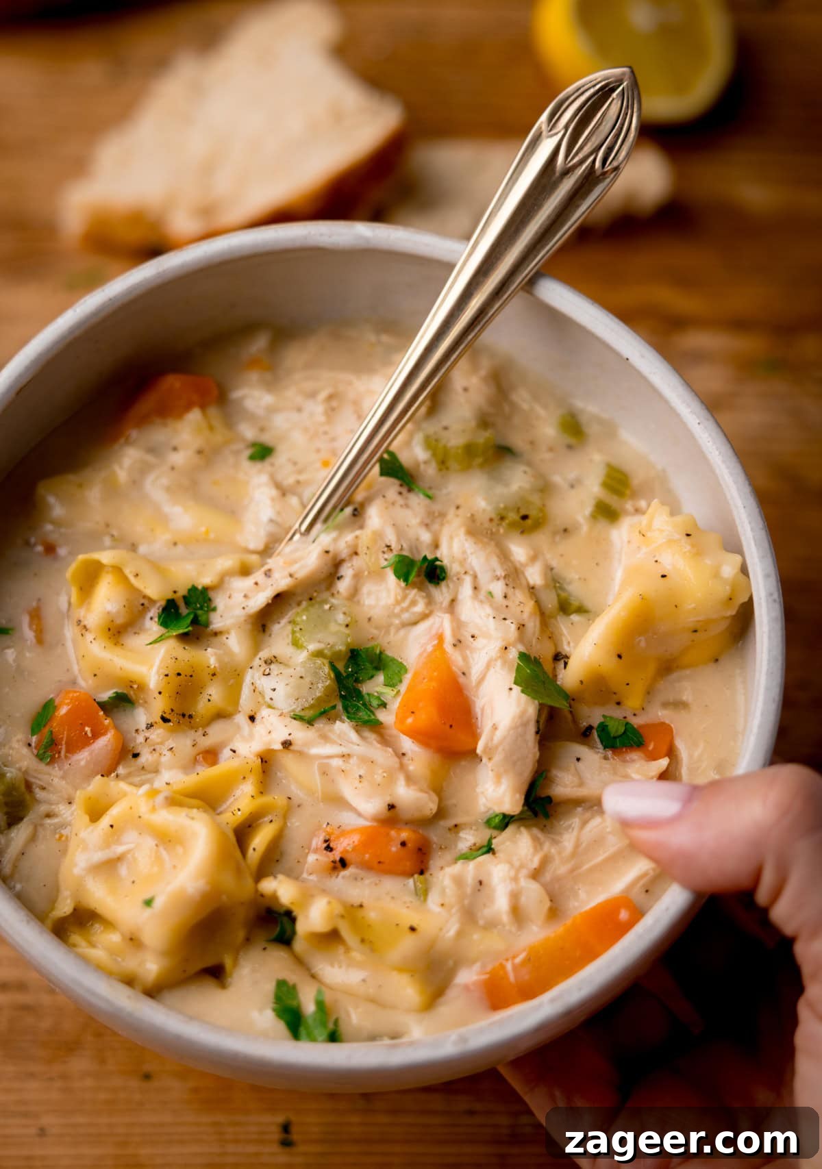 Velvet Chicken Tortellini Comfort 2 A beautifully presented bowl of creamy tortellini soup, featuring tender chicken pieces and vibrant vegetables, garnished with fresh parsley. The bowl is held in one hand, with crusty bread, a lemon slice, and a spoon artfully blurred in the background, inviting a delicious meal.