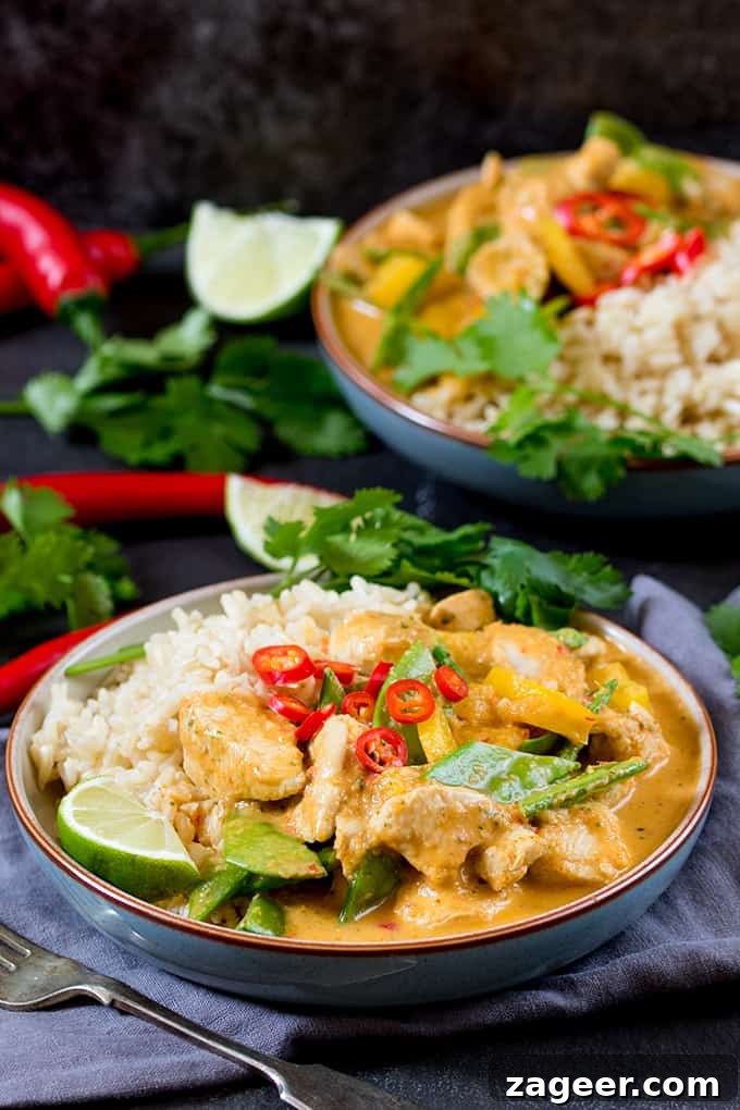 Lighter Homemade Red Thai Chicken Curry 2 A beautifully plated bowl of Spicy Lighter Red Thai Chicken Curry, garnished with fresh herbs and sliced red chilies.