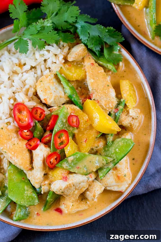 Lighter Homemade Red Thai Chicken Curry 3 Close-up of the homemade red curry paste ingredients blended together, showcasing its vibrant color and texture.