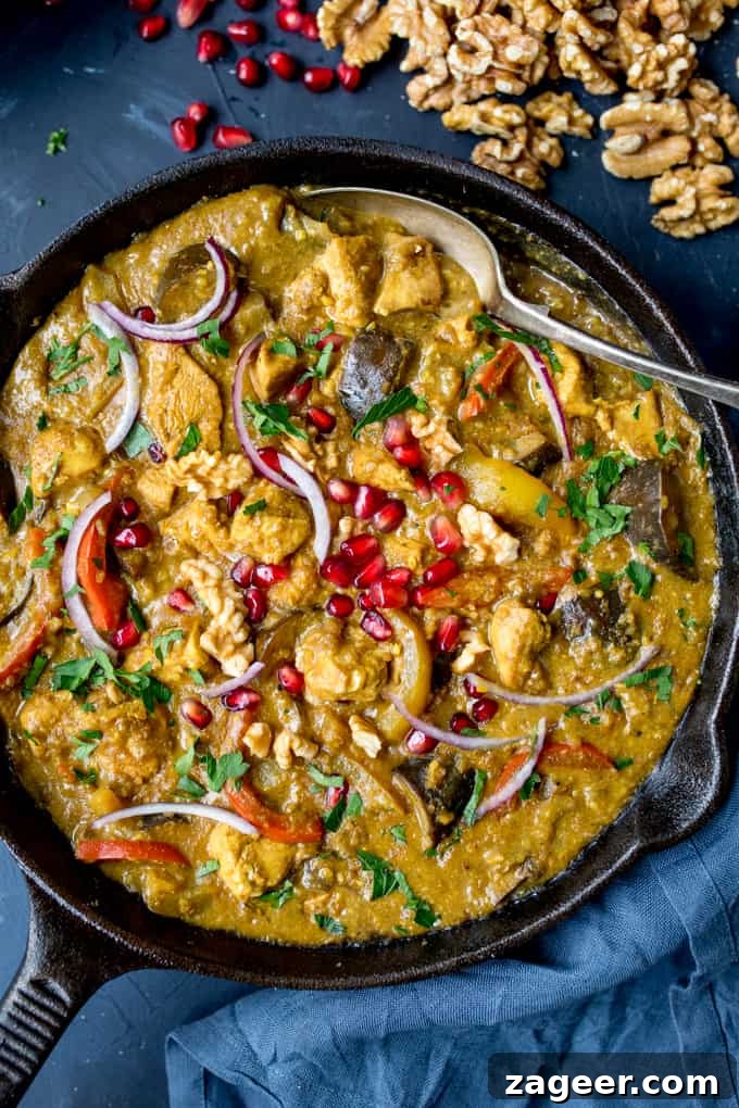 Overhead close photo of Persian Style Chicken Curry With Walnuts and Pomegranate, showcasing the rich texture and garnishes.
