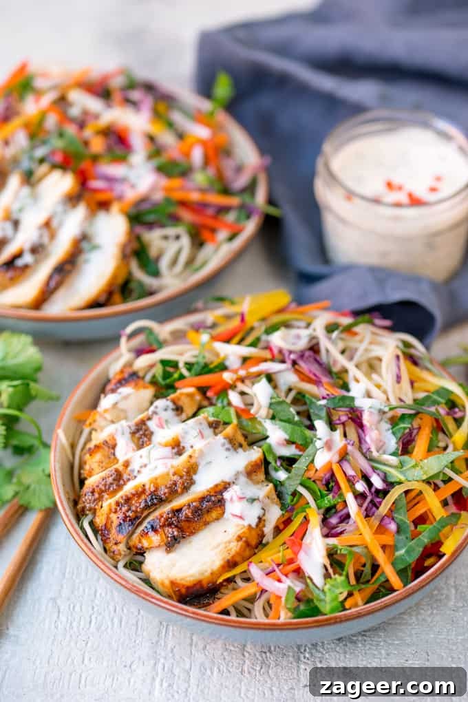 Vibrant Rainbow Chicken Noodle Salad with Chili Lime Zest 2 Vibrant Chicken Noodle Rainbow Salad with grilled chicken and creamy chilli lime dressing