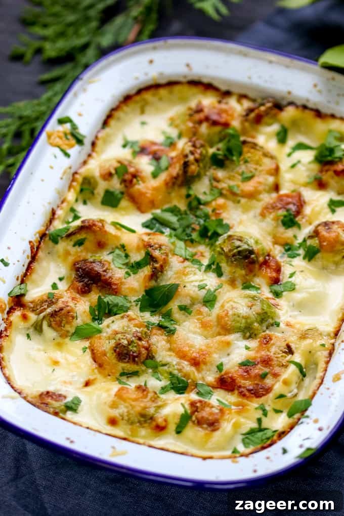 Three-Cheese Brussels Sprout Gratin Recipe for Crispy, Melty Comfort 2 Dish of sprouts cooked with cream and cheese