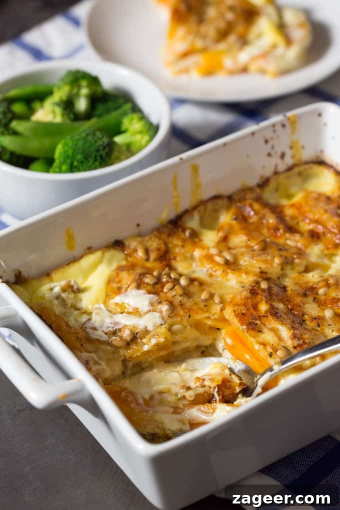 Creamy Cheddar Butternut Squash Gratin Recipe 2 Butternut gratin - Butternut squash layered with cheese, cream, pine nuts and a little sage