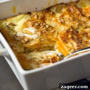 Creamy Cheddar Butternut Squash Gratin Recipe 3 img 1593 2