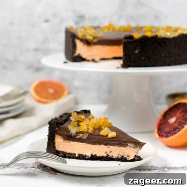 Mini No-Bake Berry Cheesecakes: Individual Dessert Cups 16 This Chocolate Orange No-Bake Cheesecake is rich, creamy and delicious! Made with an Oreo crust, and topped with chocolate ganache!