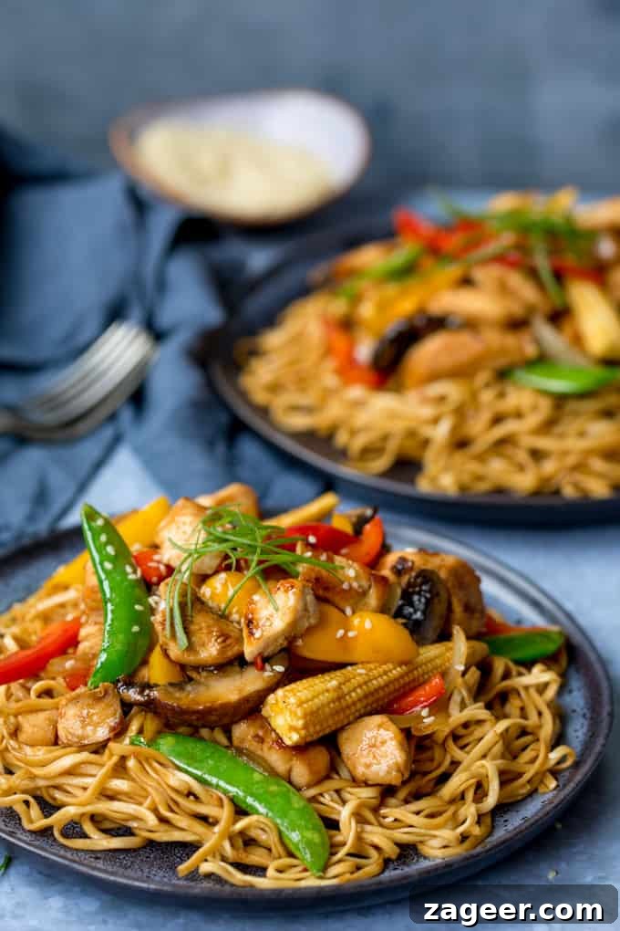 Honey-Soy Chicken Stir-Fry with Spicy Asian Noodles 8 Close up of Plate of honey and soy chicken stir fry with noodles
