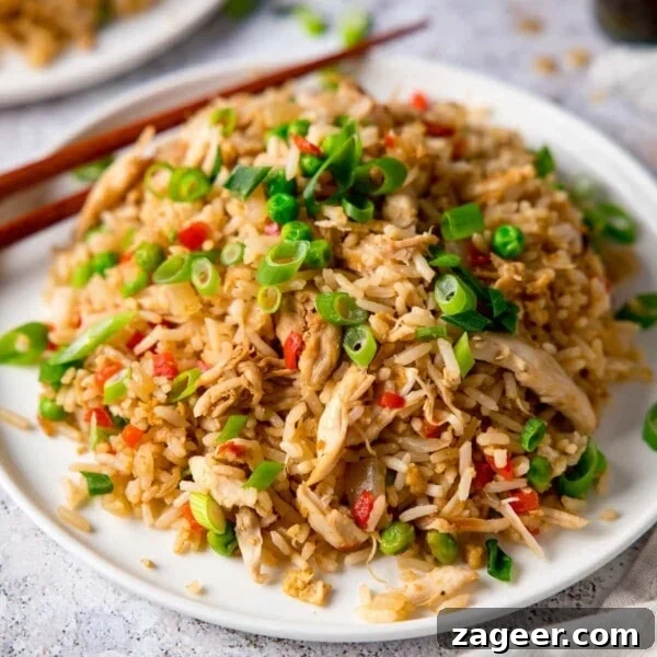 Perfectly Cooked Rice: Step-by-Step Guide for Fluffy Grains 9 Chicken Fried Rice on a white plate topped with spring onions