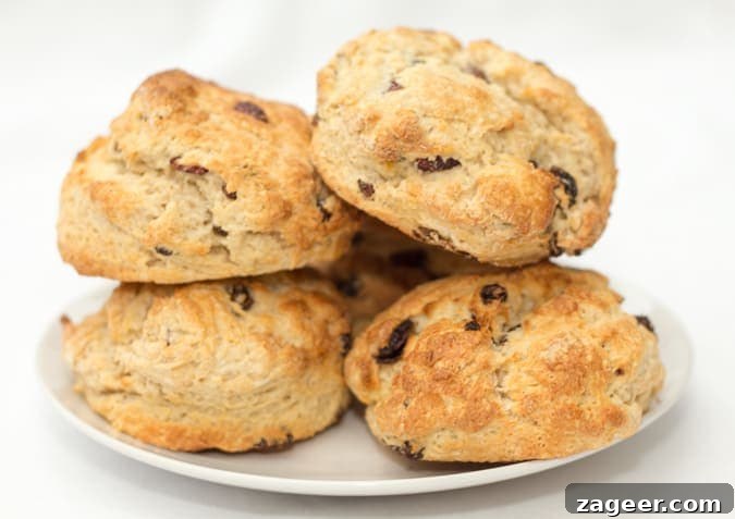 Flaky Sourdough Scones: Recipe for Tangy, Buttery Morning Bakes 2 Sourdough Scones - Perfect with a cup of tea