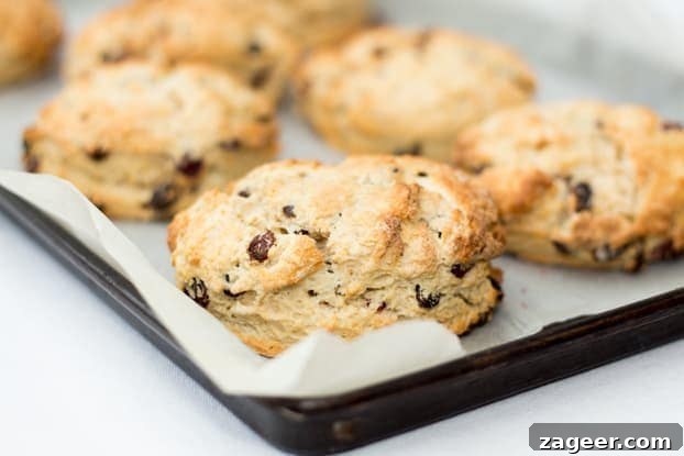 Flaky Sourdough Scones: Recipe for Tangy, Buttery Morning Bakes 5 Sourdough Scones - Perfect with a cup of tea