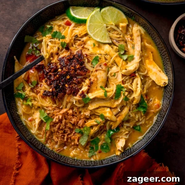 Creamy Chicken à la King Recipe — Classic Comfort Dish 13 Overhead picture of a bowl of chicken laksa