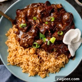 Chinese beef curry and rice