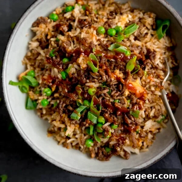 Ultimate Chicken Fried Rice Recipe for Flavorful Weeknight Meals 11 Minced beef fried rice