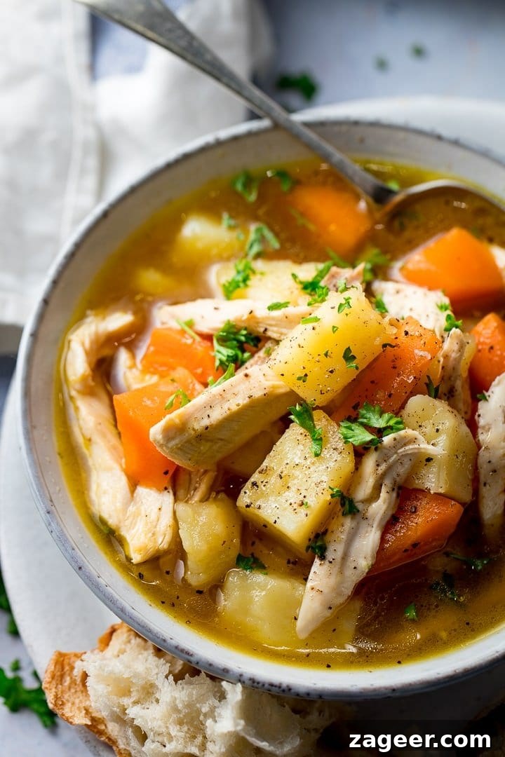 Heaping Chicken and Vegetable Soup Recipe — Comfort in a Bowl 3 Close up of a bowl of chicken and vegetable soup