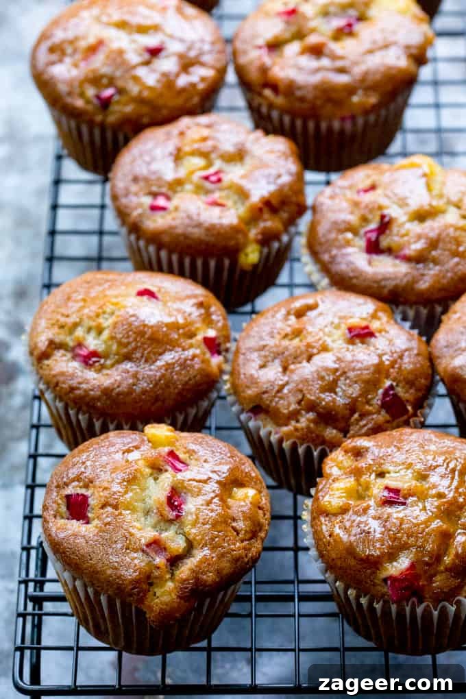 Rhubarb and Marzipan Muffins Recipe for Spring Baking 3 Cooling rack with rhubarb and marzipan muffins on top.