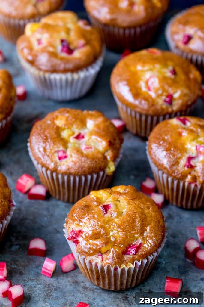 Rhubarb and Marzipan Muffins Recipe for Spring Baking 5 Worn steel background with rhubarb and marzipan muffins. Pieces of chopped rhubarb scattered around muffins.