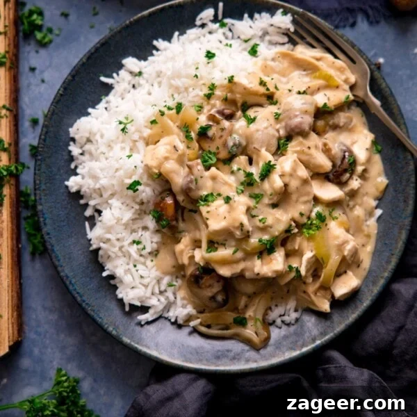 Classic Hungarian Chicken Paprikash Recipe — Creamy Paprika Chicken 11 Chicken ala king with rice on a dark plate