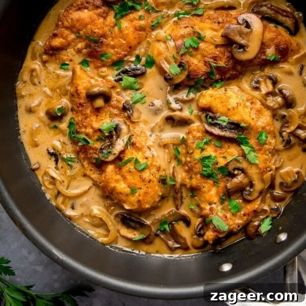Classic Hungarian Chicken Paprikash Recipe — Creamy Paprika Chicken 9 chicken marsala in a pan with mushroom and onions, sprinkled with fresh parsley