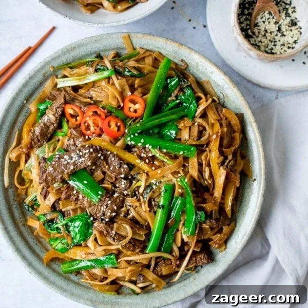 Chicken Yakisoba Recipe: Flavorful Stir-Fried Noodles with Veggies 14 Overhead shot of a bowl of Beef Chow Fun
