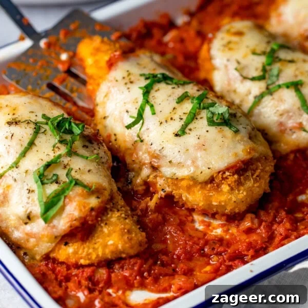 Lasagna-Style Baked Chicken Casserole Recipe 12 Baked breaded chicken parmesan fillets topped with melted cheese and fresh basil, served over a rich tomato sauce in a white dish.