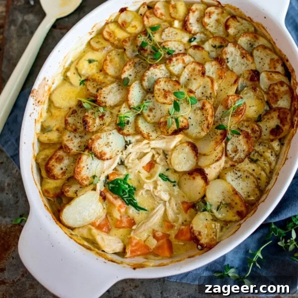 Lasagna-Style Baked Chicken Casserole Recipe 8 Overhead image of a chicken and potato bake, in a white oval dish, with sliced baked potatoes on a creamy chicken and vegetable filling. A spoonful of the dish has been removed.
