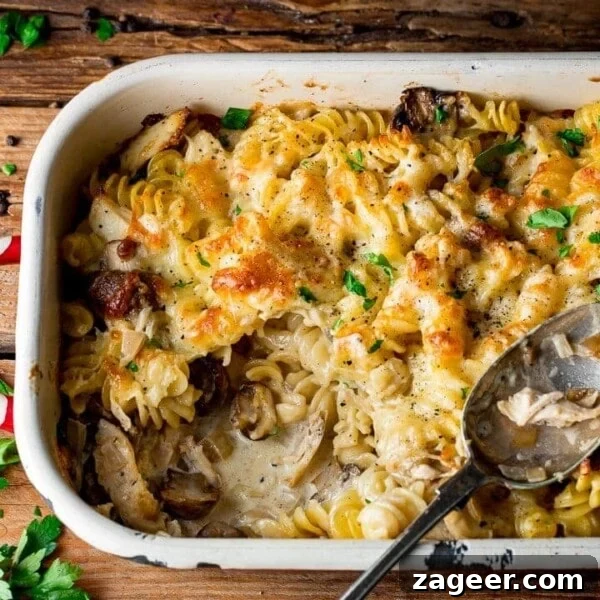 Lasagna-Style Baked Chicken Casserole Recipe 10 square image of chicken alfredo pasta bake with a scoop removed