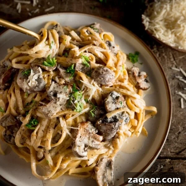 Creamy Garlic and Mushroom Stuffed Bread Rolls 7 a square shot of creamy mushroom pasta on a white plate with a spoon dug in