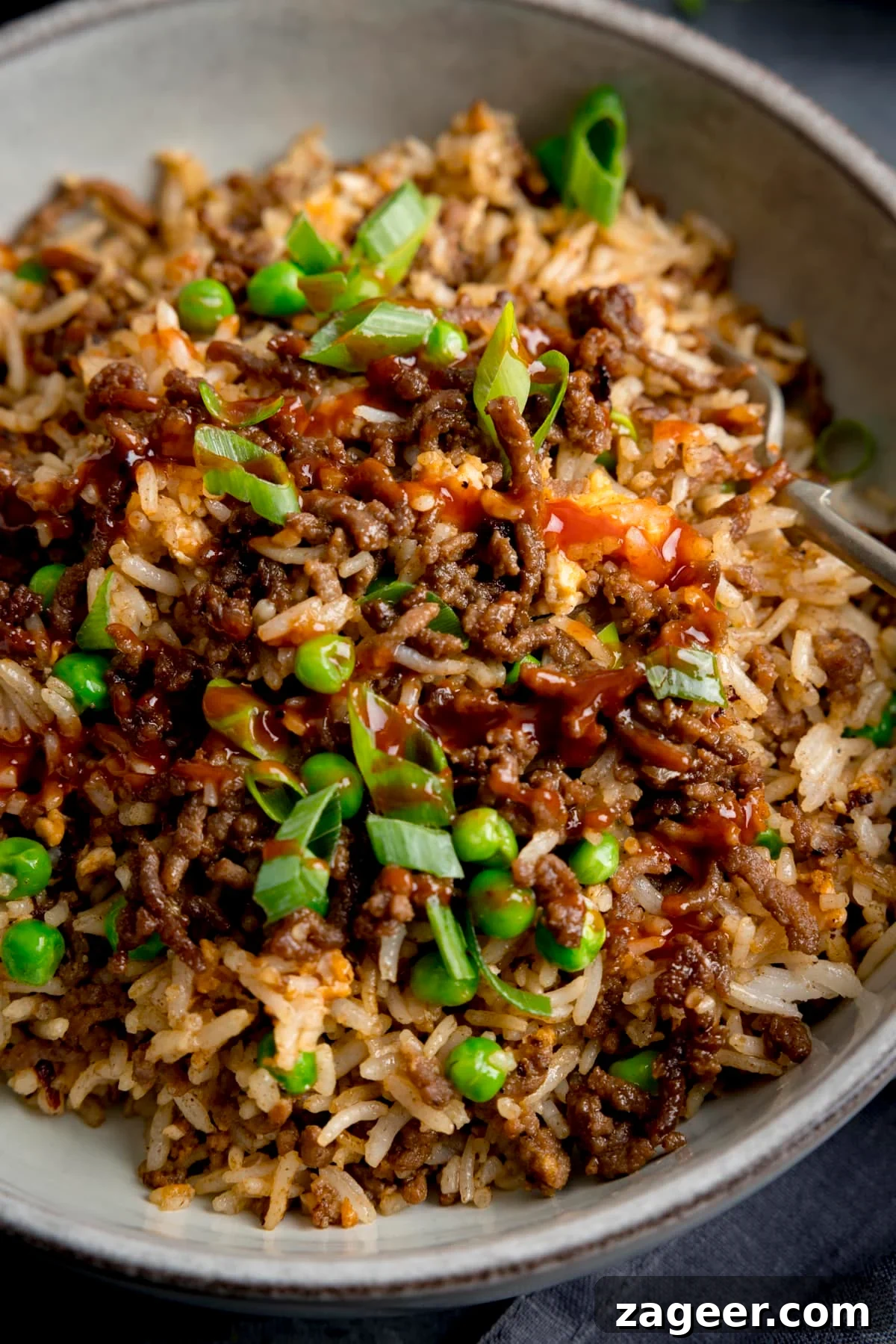 Beef Mince Fried Rice Recipe: Flavorful One‑Pan Dinner 2 Close up of a bowl of minced beef fried rice, topped with spring onions.