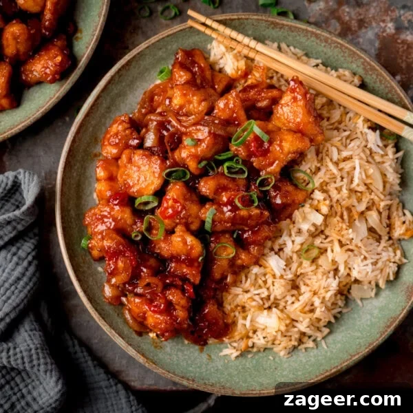 Crispy Chicken Skin Cracklings with Savory Butter Dip 18 plate of fried rice and glazed Crispy Chilli Chicken