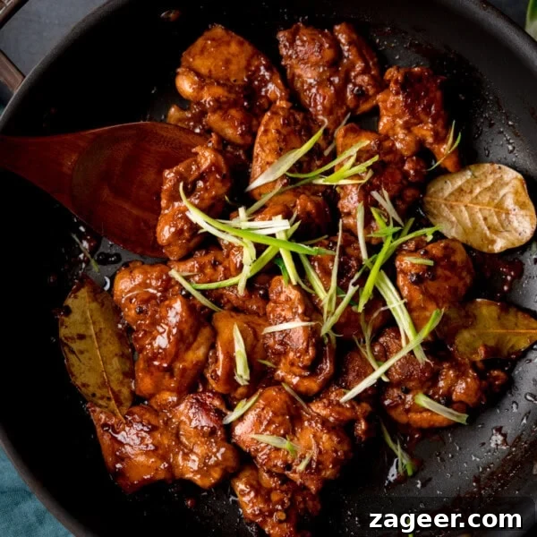 Crispy Chicken Skin Cracklings with Savory Butter Dip 19 Chicken adobo in a dark glaze