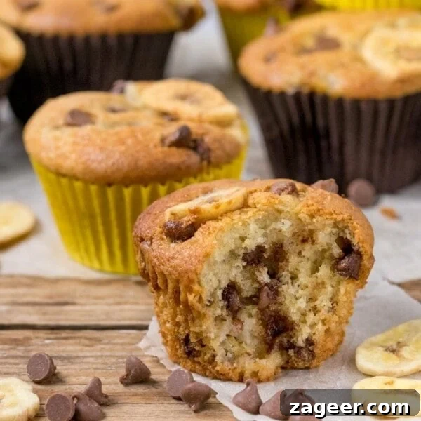 Fluffy Cinnamon Rolls Recipe for Soft, Homemade Swirls 12 Bakery Style Chocolate Chip Banana Muffins