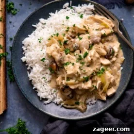Chicken ala king with rice on a dark plate