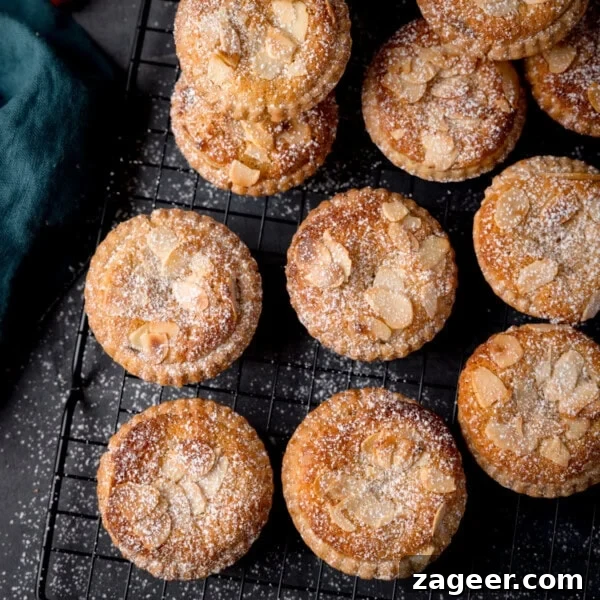 Christmas Cake Decorating Ideas for a Festive Finish 15 An overhead picture of some mince pies on a black wire cooling rack. All the mince pies have been dusted with icing sugar.