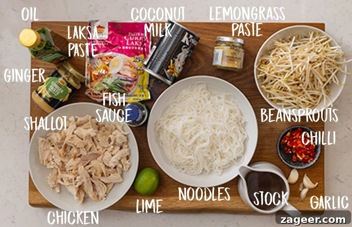 30-Minute Chicken Laksa Recipe: Flavorful Coconut Noodle Soup 4 Ingredients for quick chicken laksa on a wooden chopping board.