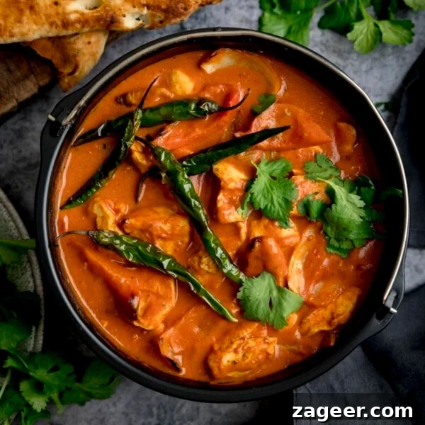 Comforting Chicken and Potato Curry Recipe for Weeknight Dinners 8 A square overhead shot of Air Fryer Chicken Curry sprinkled with coriander and whole fried green chillies.