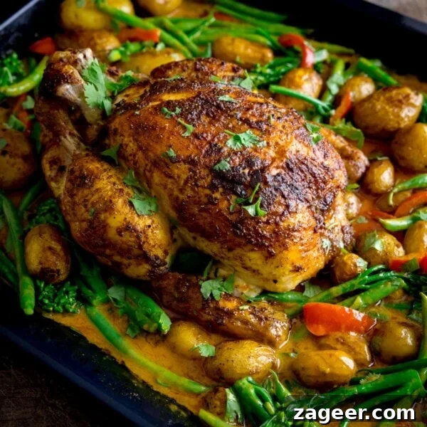 Comforting Chicken and Potato Curry Recipe for Weeknight Dinners 10 Curry roast chicken in a baking tin with potatoes, vegetables and curry sauce.