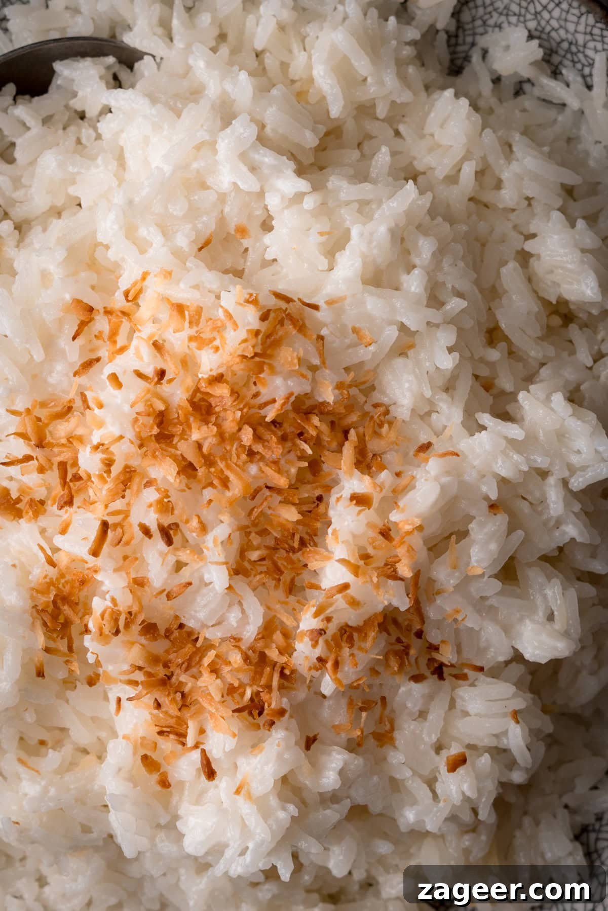Stovetop Coconut Rice Recipe: Creamy, Fragrant Coconut Rice 4 Close-up of stovetop coconut rice topped with toasted shredded coconut.