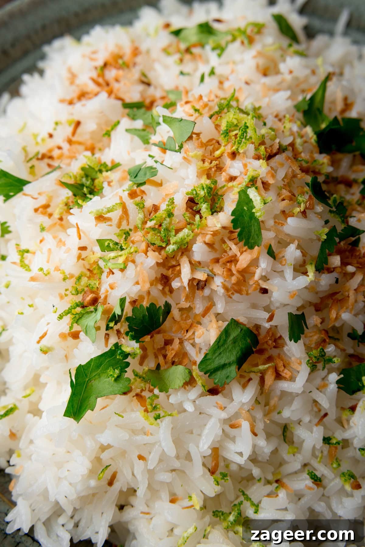Perfect Coconut Rice in a Rice Cooker: Fluffy, Creamy Recipe 4 A tall, very close-up image of Rice Cooker Coconut Rice. The rice is in a large grey bowl, in the centre of the image,