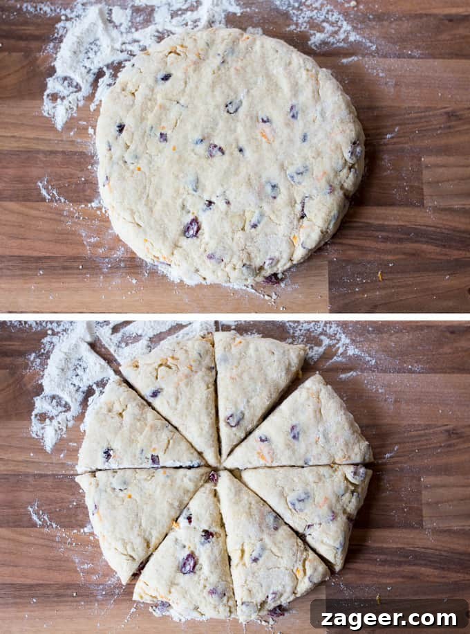 Cranberry and Orange Scones - Zesty, light and fluffy. So good with a dollop of clotted cream!