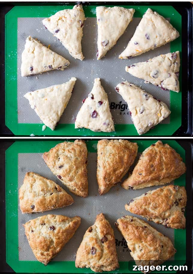 cranberry and orange scones prep collage2