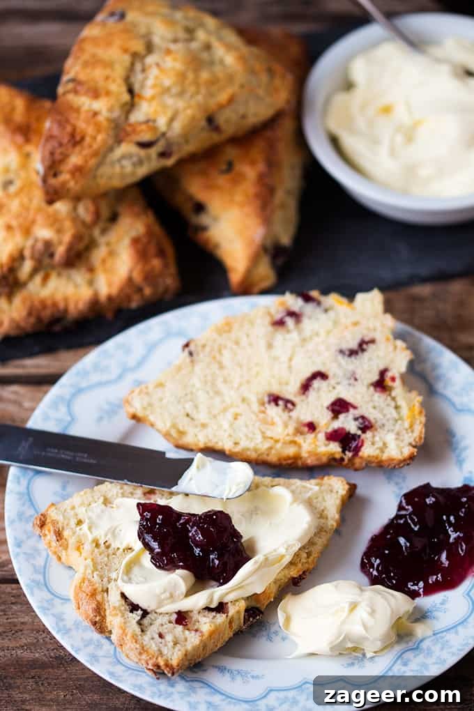 Cranberry and Orange Scones - Zesty, light and fluffy. So good with a dollop of clotted cream!