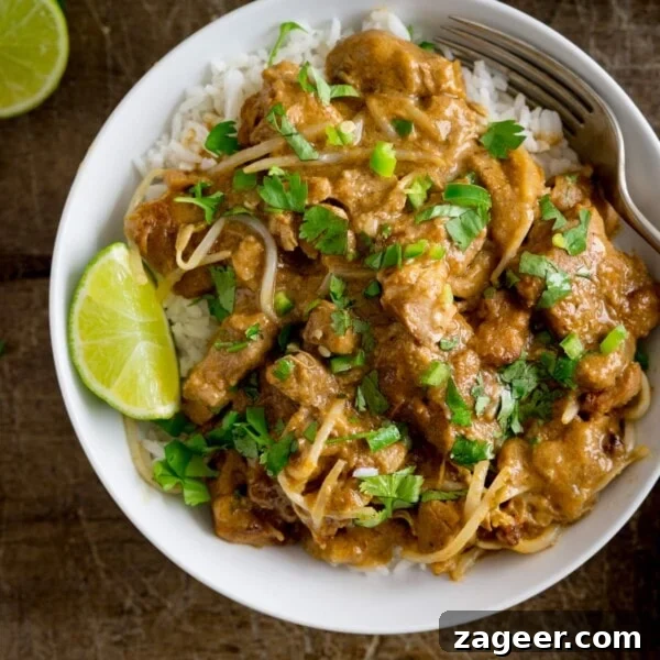 Classic Beef Bourguignon Recipe: Tender Braised Beef in Red Wine 14 Thai style peanut pork on rice in a white bowl