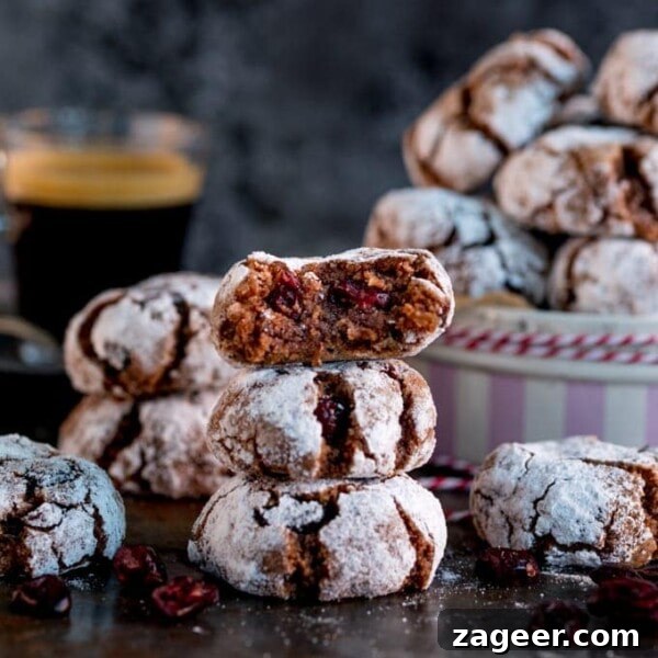 Making homemade Christmas gifts this year? Try my Chocolate Cranberry Amaretti Cookies! Naturally Gluten Free and super easy to make!