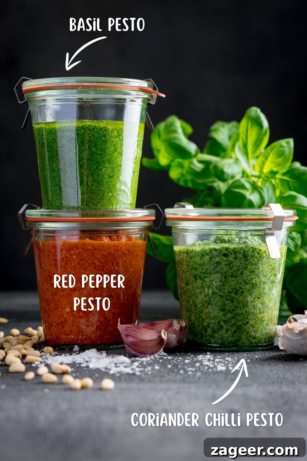 Roasted Red Pepper Pesto Recipe for Pasta, Sandwiches & Dips 5 Three glass jars showcasing different pesto varieties: basil pesto, red pepper pesto sauce, and coriander chilli pesto. Fresh basil leaves, garlic, pine nuts, and salt are scattered around.