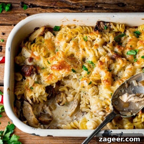 Creamy Tuna Pasta Bake with Cheesy Golden Crust 6 square image of chicken alfredo pasta bake with a scoop removed