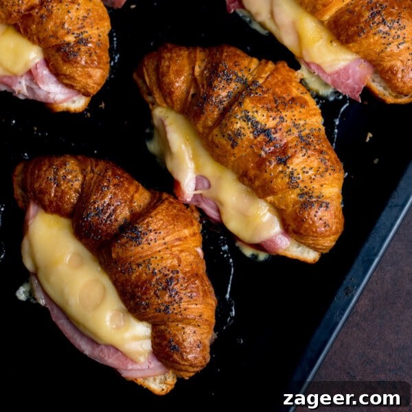 Avocado and Egg Bagel Sandwich Recipe for Breakfast 10 Ham and Cheese Croissants