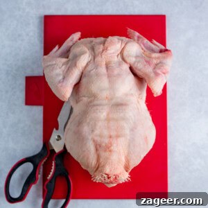 A raw whole chicken, ready to spatchcock on a red chopping board with a pair of kitchen scissors beside it.