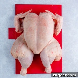 A raw whole spatchcocked chicken lying breast-side-up on a red chopping board against a light grey background.